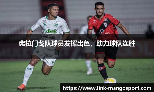 弗拉门戈队球员发挥出色，助力球队连胜