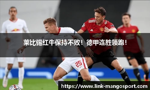 莱比锡红牛保持不败！德甲连胜领跑！